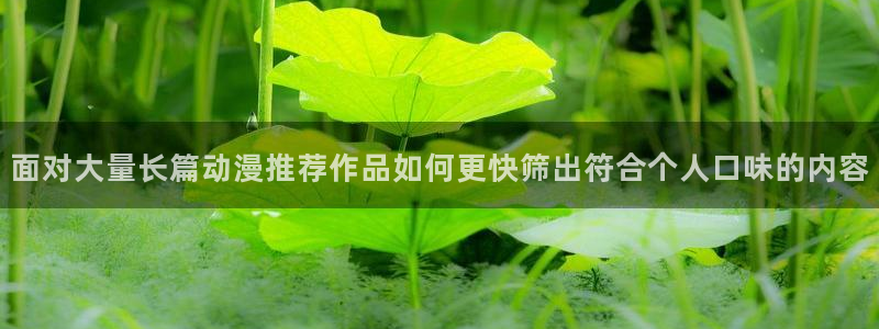 动漫推荐网