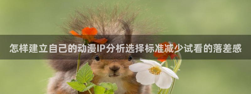 动漫查询：怎样建立自己的动漫IP分析选择标准减少试看的落差感