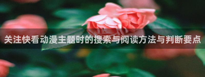 动漫分类