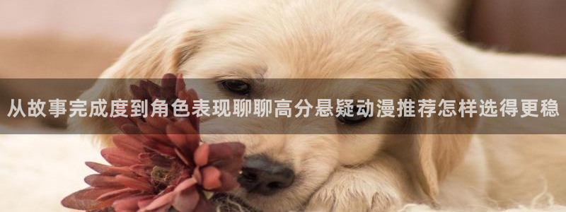 动漫作品专题