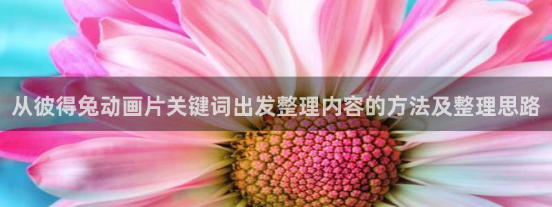 动漫新作榜