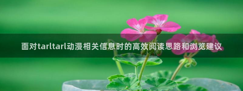 动漫在线入口